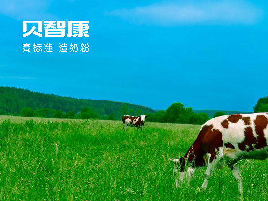 贝智康